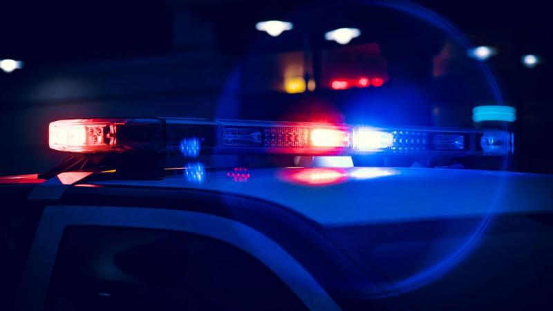 Tragikus esemény zajlott Baranyában, ahol egy lövöldözés következtében a támadó célzottan egy kutyára lőtt, azonban a golyó véletlenül egy arra járó embert talált el. Az incidens felkavarta a helyi közösséget, és kérdéseket vetett fel a fegyverhasználat b