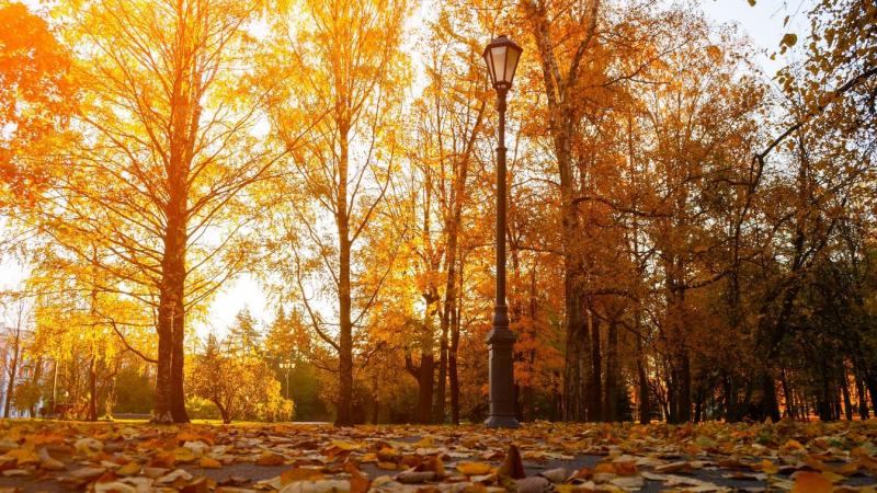A holnapi időjárás igazi kihívás elé állítja a hangulatunkat.