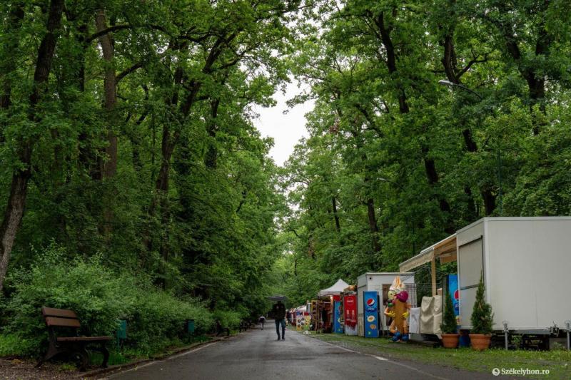 Kivágják a veszélyes fákat Somostetőn | Székelyhon

Somostetőn megkezdődött a veszélyes fák kivágása, amelyek potenciális kockázatot jelentettek a környék lakói számára. Az érintett területen a helyi hatóságok szakértői felmérést végeztek, és azonosítottá
