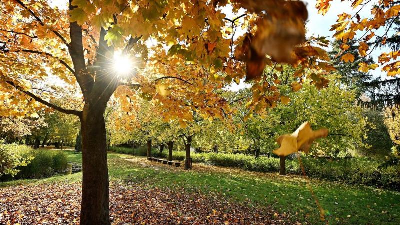 Hevesben az ősz olyan varázslatos, hogy a színes tájak vonzereje miatt az influenszerek már szinte ellepték a vidéket.