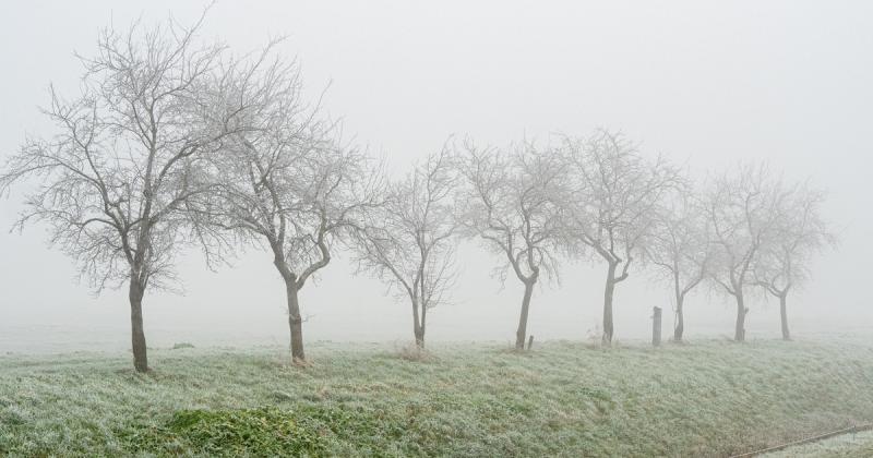 Az időjárás nem ismer könyörületet: ködös, ónos szitálással tarkított és hószállingózásra is fel kell készülnünk.