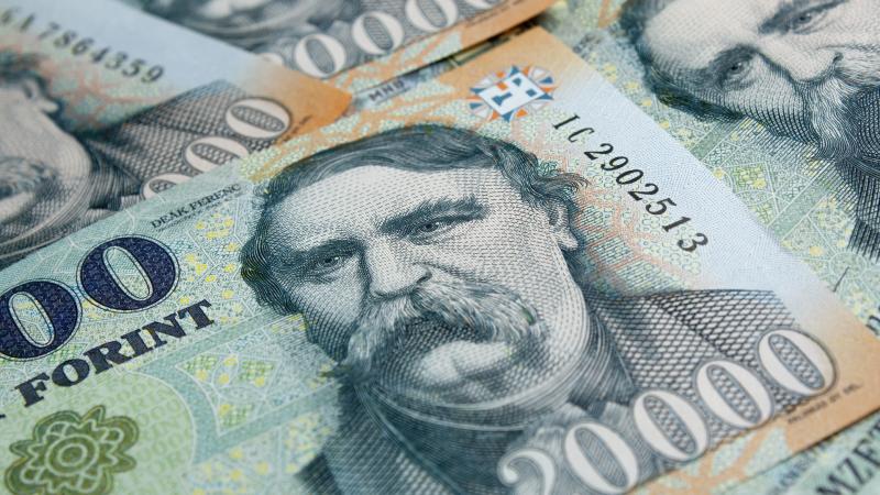 A sorsfordító nap küszöbén áll a forint.