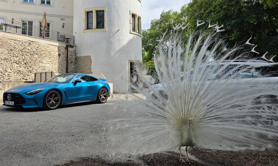 Pávák, múmiák, kígyószerű szerpentinek és egy V8-as motor dübörgése: 1100 kilométernyi kaland vár ránk négy különböző országon át, ahol az AMG kupénk kormányát fogjuk meg.
