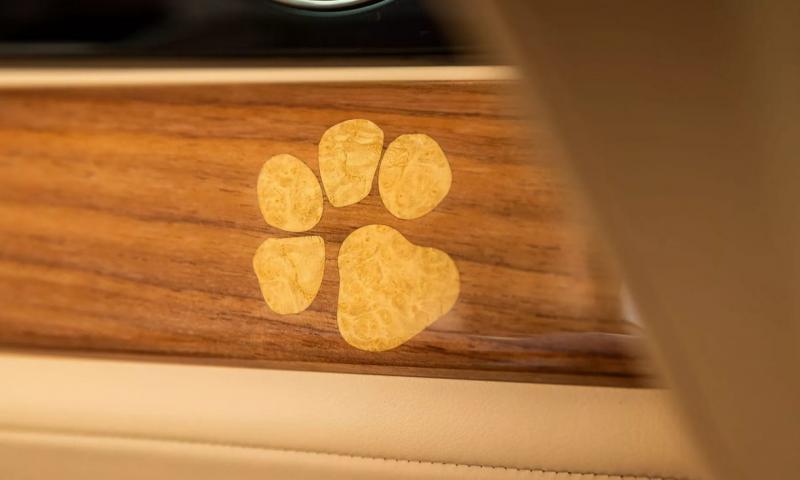 A Rolls-Royce legújabb modellje, a kutyamancs nyomokkal ékesített luxus villanyautó, egyedülálló eleganciát és stílust kínál. A prémium részletekkel és a kutyabarát dizájnnal ellátott autó nemcsak a környezetvédelem iránt elkötelezett, hanem a négylábú ba