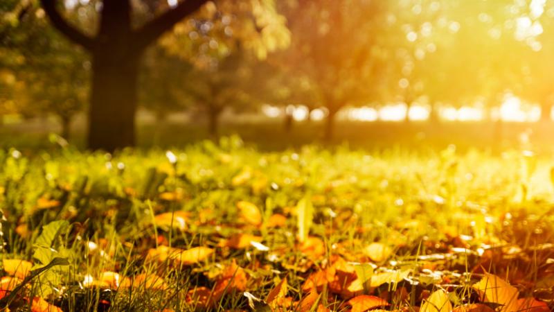 Magyarországon egy olyan esemény zajlott le, amelyre az elmúlt 13 évben nem volt példa - Agro Napló.