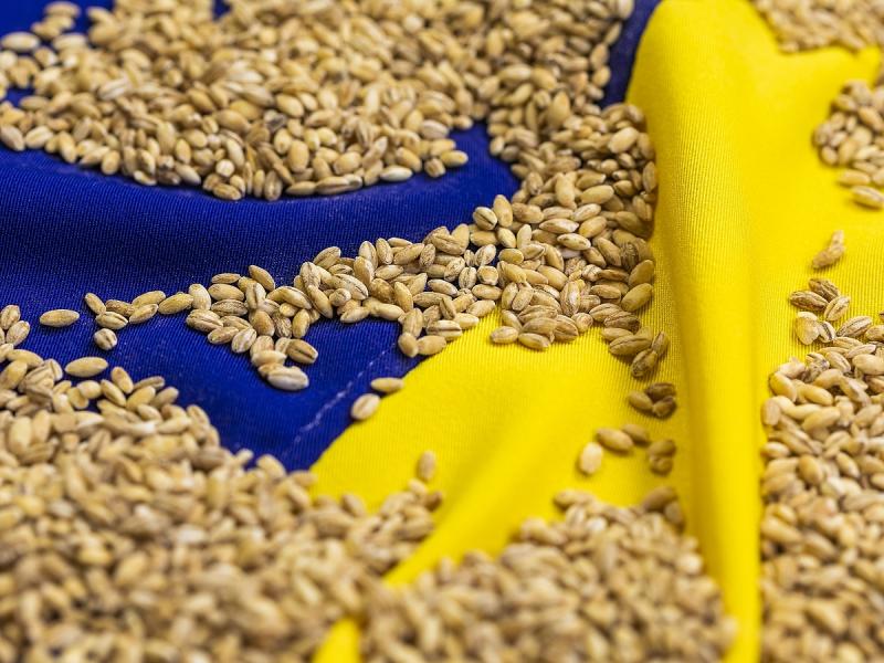 Az ukrán mezőgazdaság komoly kihívásokkal néz szembe, és Orbán Viktor már korábban lépéseket tett a helyzet kezelésére.