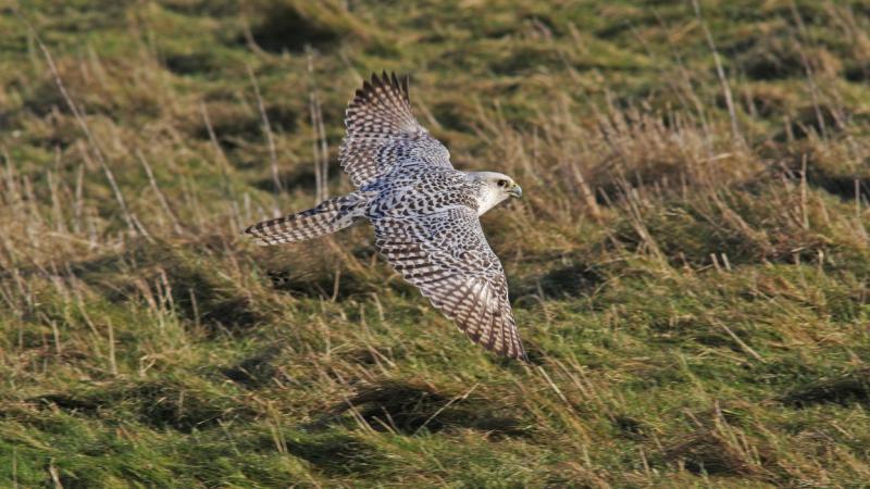 Figyelmeztetést adtak ki: ma brutális szélviharok várhatóak – Pénzcentrum